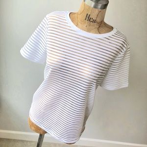 Trouve White Sheer Striped T Shirt